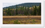 autum colors of taiga-4367 * 900 x 506 * (573KB)